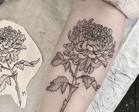 线条小腿菊花纹身图案
