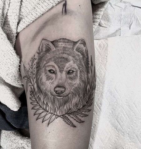 线条大臂狼纹身图案