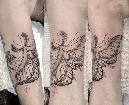 线条大臂蛾子纹身图案