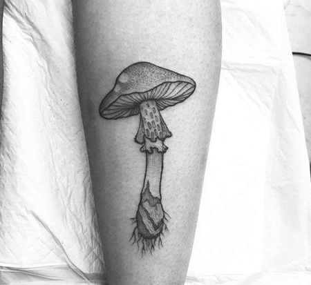 点线小腿蘑菇纹身图案