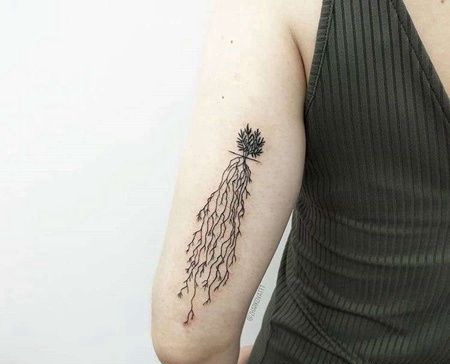 线条大臂骆驼草纹身图案