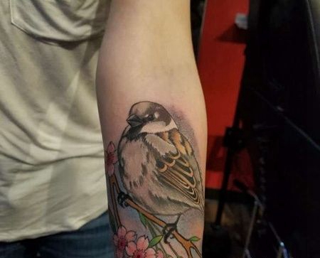 写实小臂麻雀樱花纹身图案