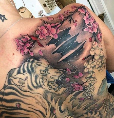 新传统后肩樱花纹身图案