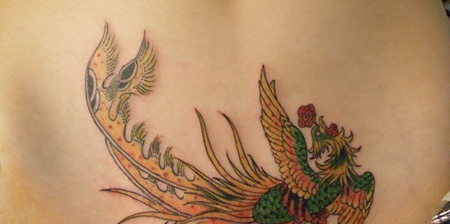 腹部凤凰纹身图案