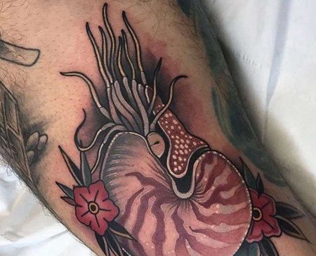 New School大腿鹦鹉螺纹身图案