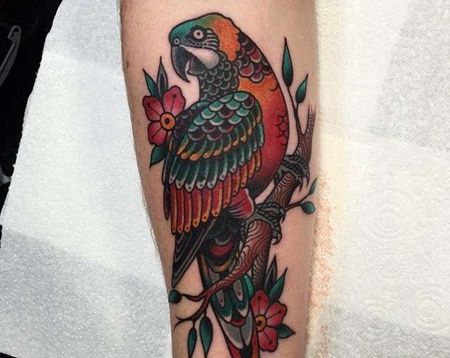 New School小臂鹦鹉纹身图案