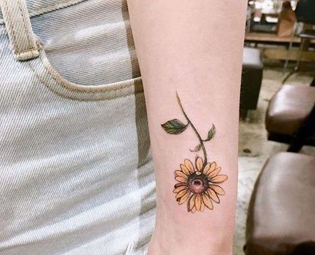小清新小臂向日葵纹身图案