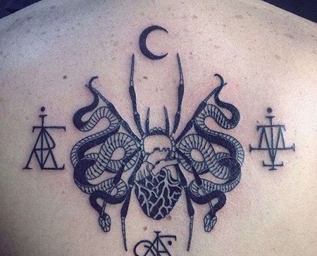 New School后背蜘蛛蛇纹身图案