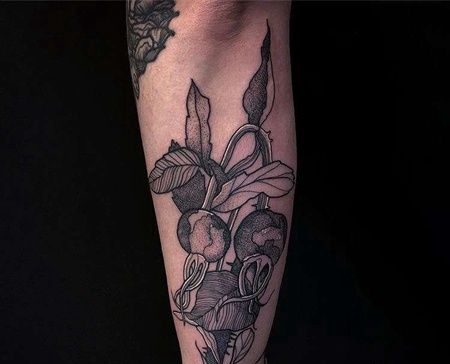 New School小臂罂粟纹身图案
