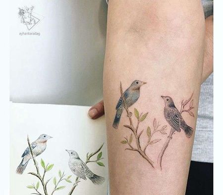 小清新小臂鸟纹身图案