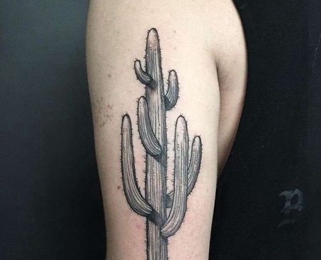 线条大臂仙人掌纹身图案