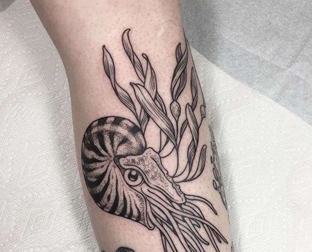 小臂鹦鹉螺纹身图案