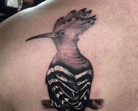 写实后肩鸟纹身图案
