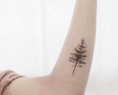 小清新小臂松树纹身图案