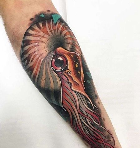 New School小臂鹦鹉螺纹身图案