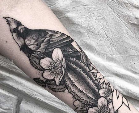 小臂仙人掌鹦鹉纹身图案