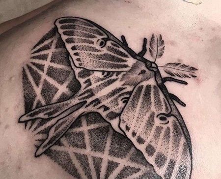 点刺腹部蛾子纹身图案