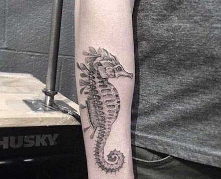 点刺小臂海马纹身图案