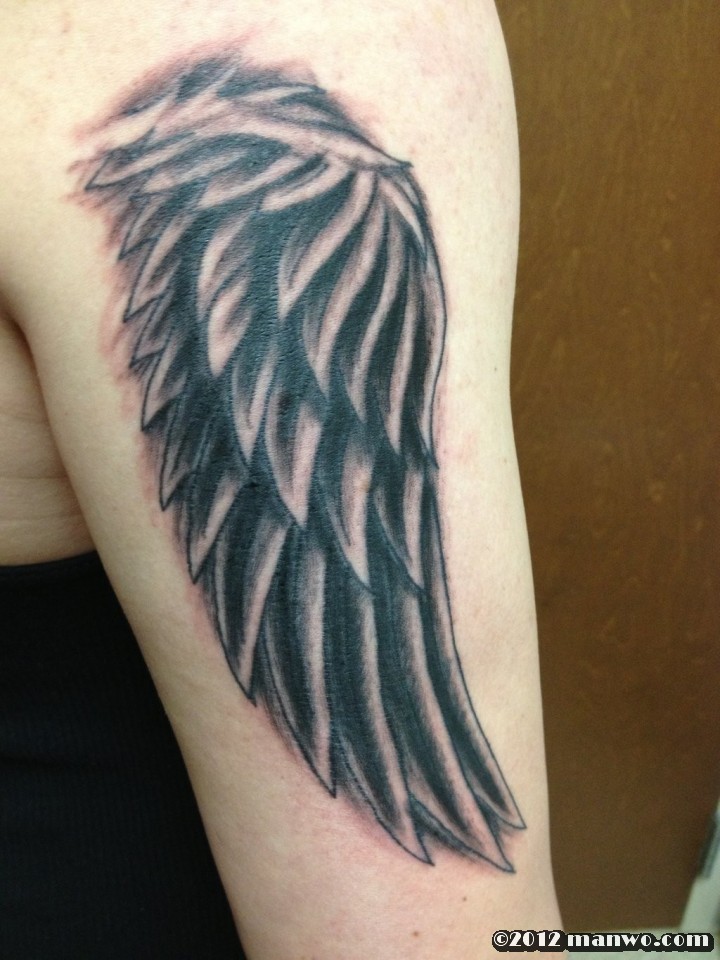 给双手插上梦想的翅膀