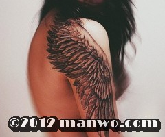 给双手插上梦想的翅膀