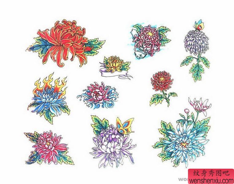 菊花纹身图案:菊花纹身图案图片