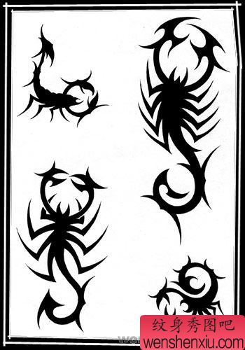 图腾纹身图案:图腾蝎子纹身图案图片