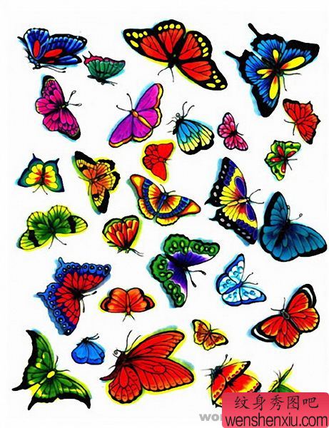 蝴蝶纹身图案:彩色蝴蝶纹身图案图片