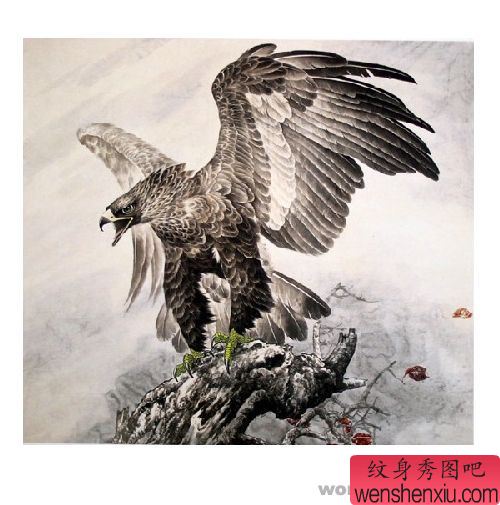 鹰纹身图案:老鹰纹身图案图片