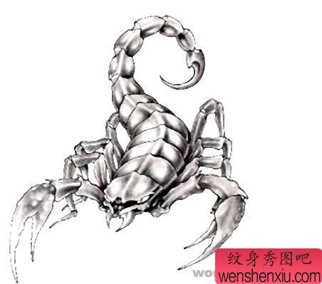 纹身520图库:蝎子纹身图案图片