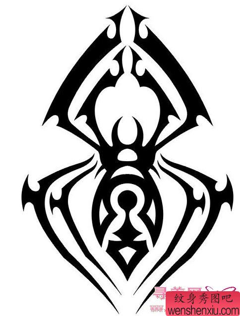 蜘蛛纹身图案:图腾蜘蛛纹身图案图片