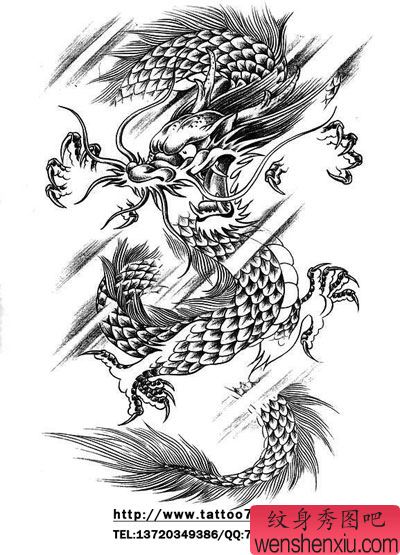 一幅凶猛的龙纹身图案图片