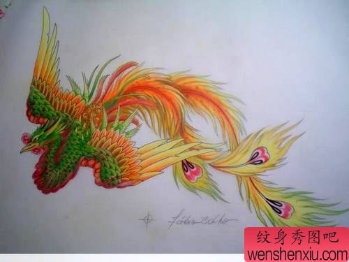 一幅漂亮的凤凰纹身图案图片欣赏