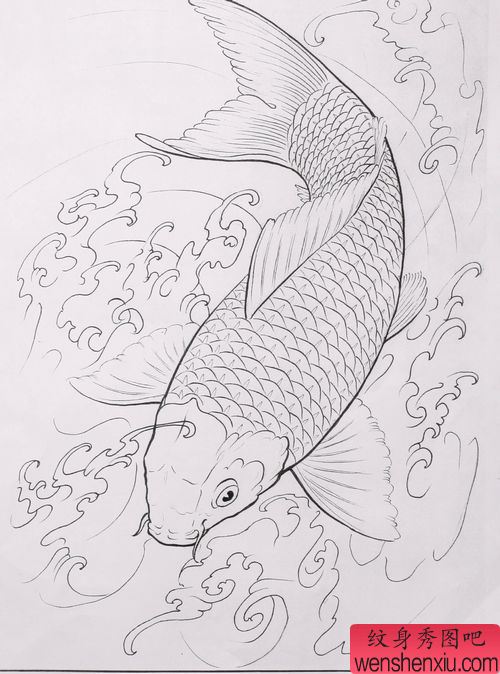 鲤鱼纹身图案:鲤鱼割线图案图片
