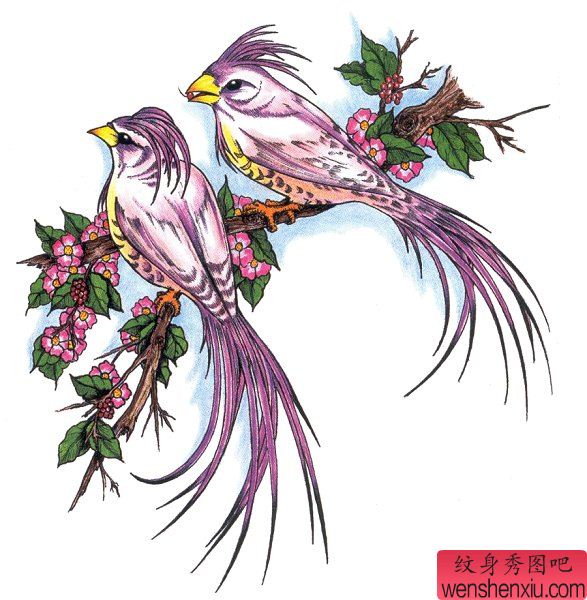 鸟类纹身图案:喜鹊樱花纹身图案图片