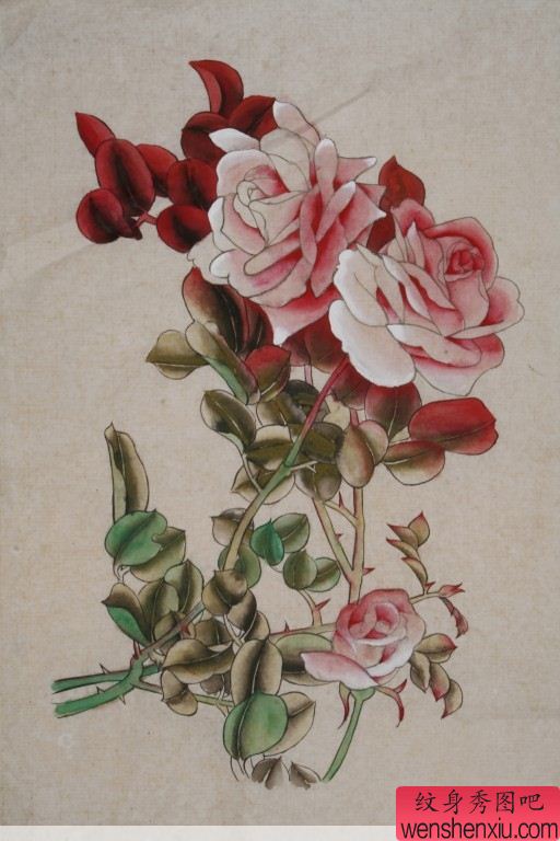 牡丹纹身图案:牡丹花纹身图案图片