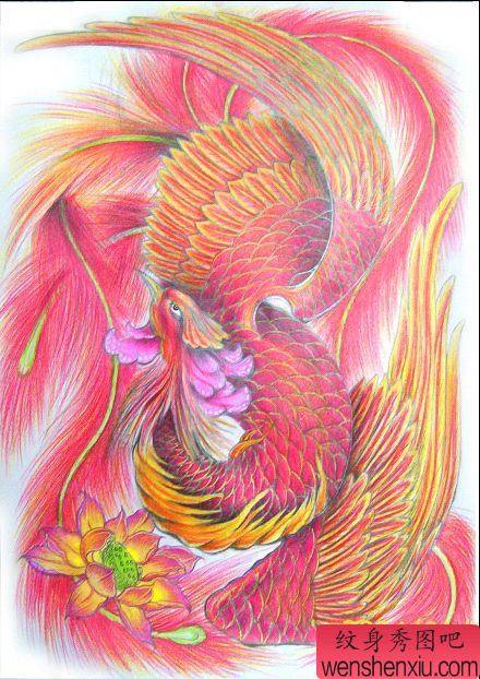 女人纹身图案:一幅绝美的满背凤凰图案图片