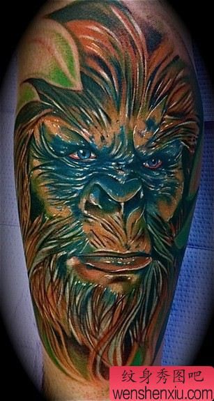 国外一幅手臂彩色猩猩纹身图案图片