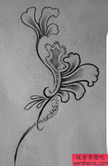 纹身学校:图腾花纹身图案图片(tattoo)