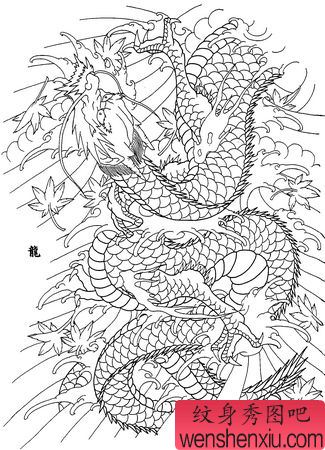 一幅经典的满背龙割线纹身图案图片