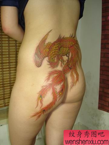 女人纹身图案:超酷的美女后腰凤凰纹身图案图片(精品)