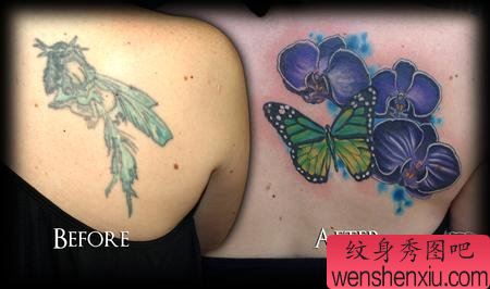 适合遮盖的后背蝴蝶兰纹身图案