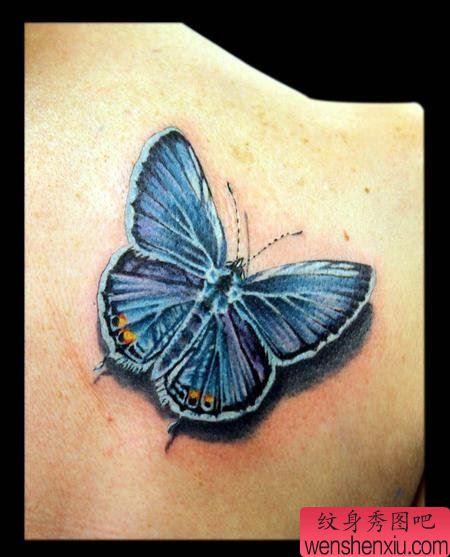 纹身520图库:蝴蝶纹身图案图片
