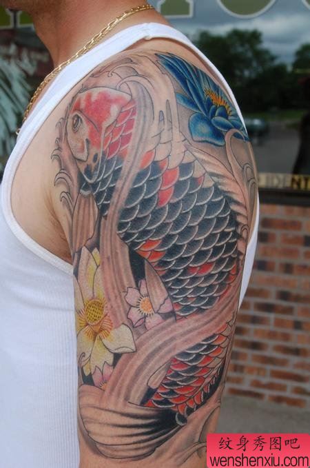 纹身520图库:大臂鲤鱼刺青图案图片