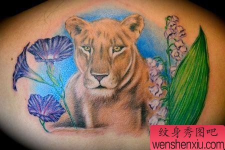 专业纹身:后背狮子花纹身图案图片