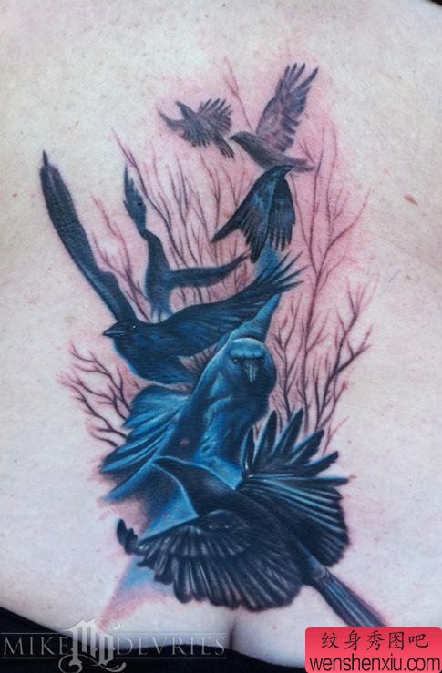 纹身520图库:腰部乌鸦刺青图案图片