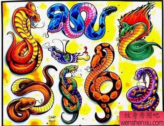 动物纹身图案：彩色蛇纹身图案纹身图片