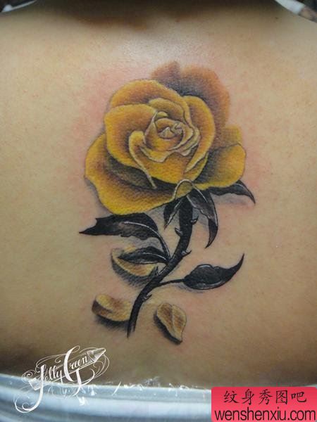 背部纹身图案:后背黄玫瑰纹身图案