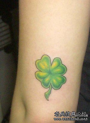 四叶草纹身图案:手臂彩色四叶草纹身图案纹身图片