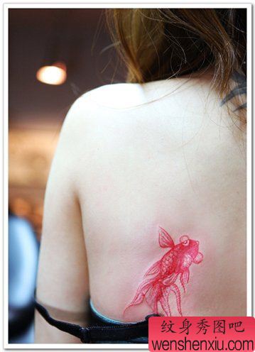 金鱼纹身图案:背部彩色小金鱼纹身图案纹身图片