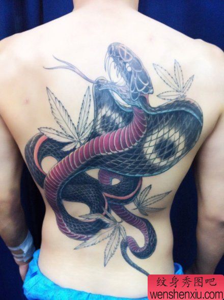 蛇纹身图案:背部蛇纹身图案纹身图片